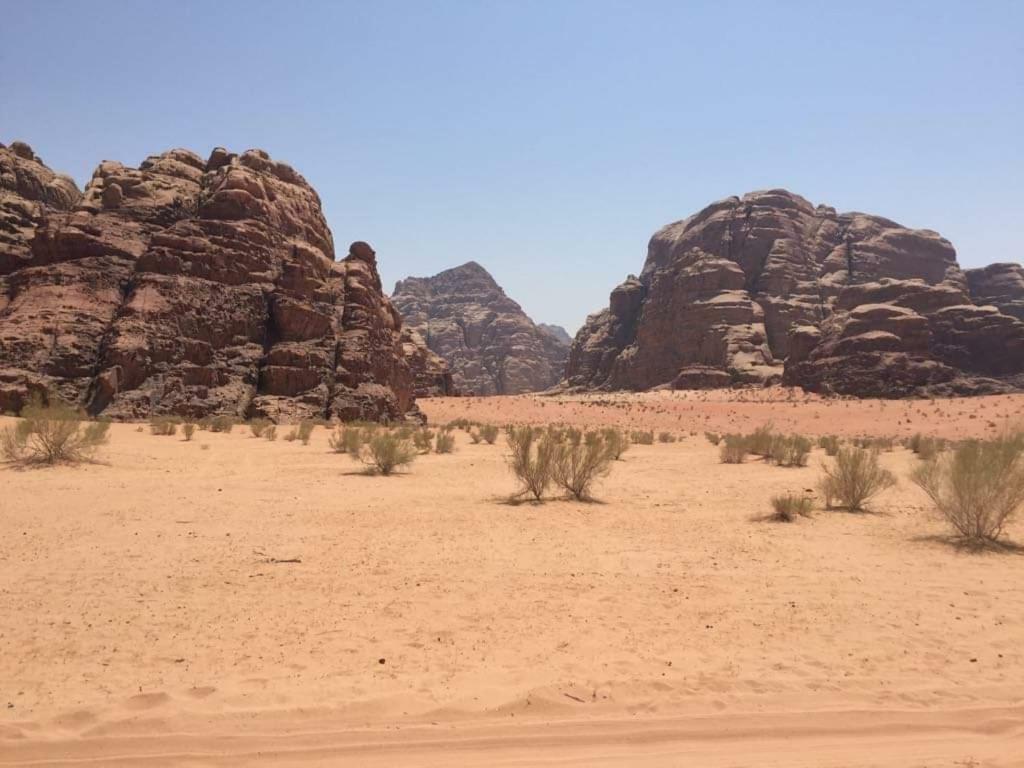 Wadi Rum-Bedouin Tents And Jeep Tours Dış mekan fotoğraf