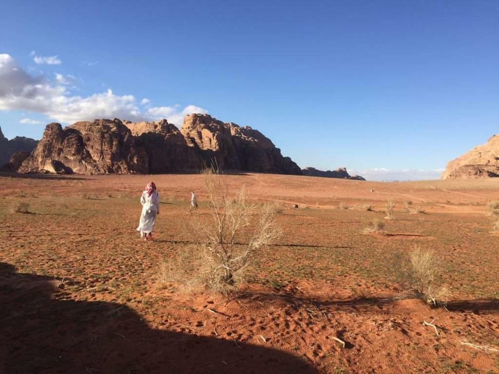 Wadi Rum-Bedouin Tents And Jeep Tours Dış mekan fotoğraf