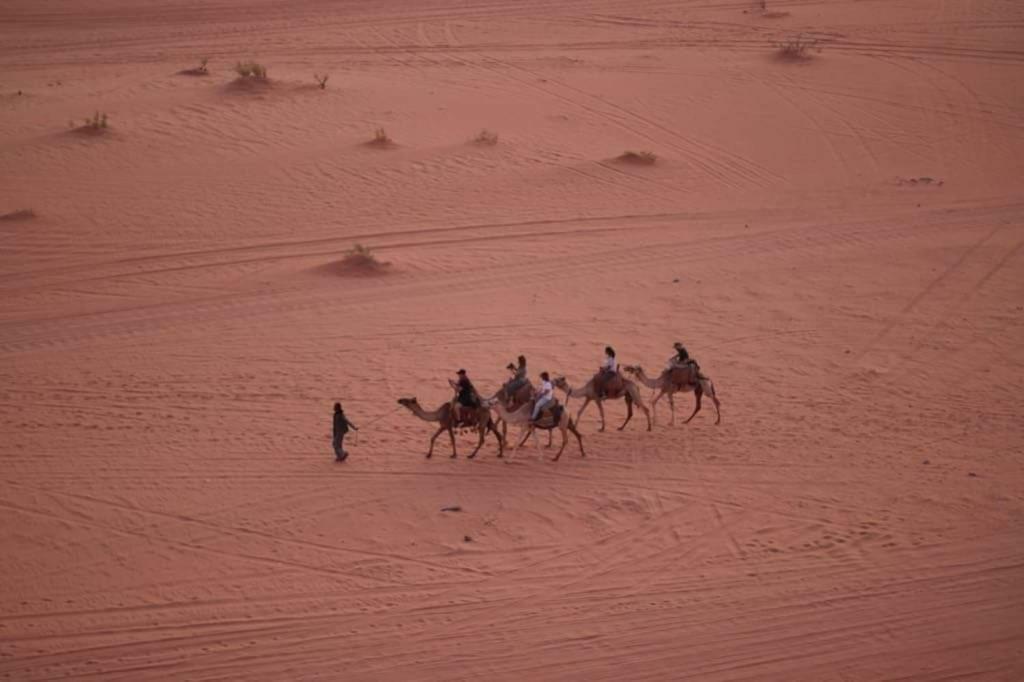 Wadi Rum-Bedouin Tents And Jeep Tours Dış mekan fotoğraf