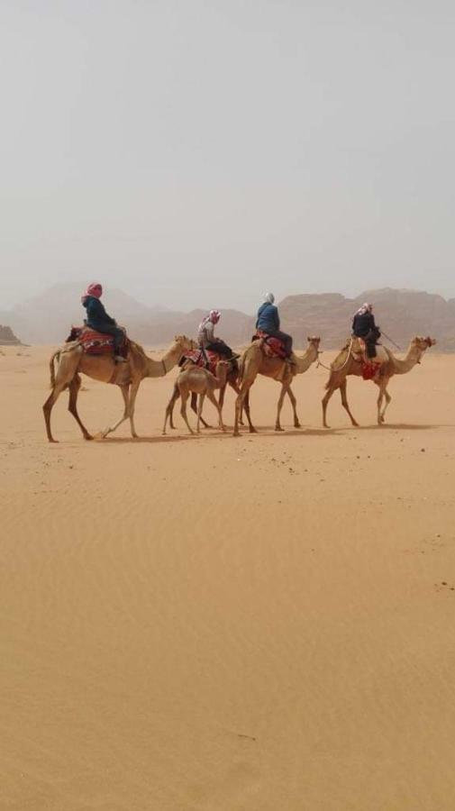 Wadi Rum-Bedouin Tents And Jeep Tours Dış mekan fotoğraf